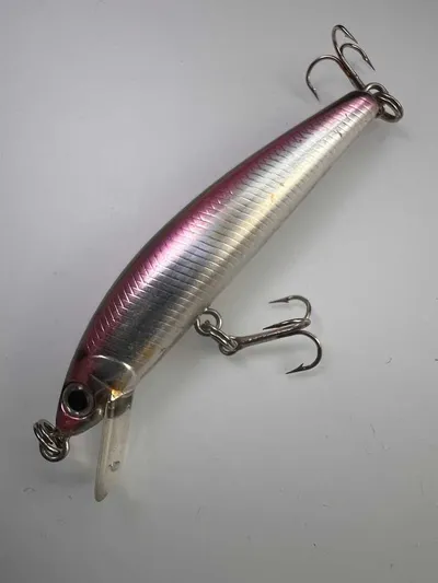 Bassday Sugar minnow es
