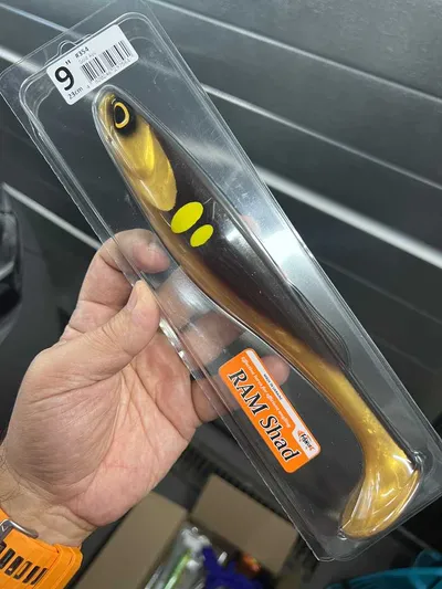 FishUp RAM Shad 9" - Gold Ayu