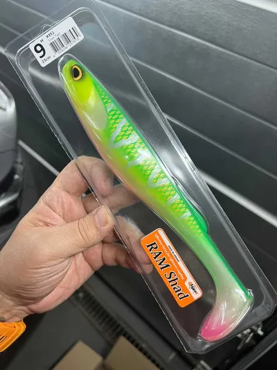 FishUp RAM Shad 9" - Silver Tiger