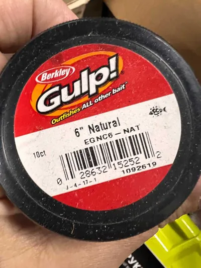 Berkley Gulp 6” natural