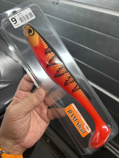 FishUp RAM Shad 9" - Red Tiger