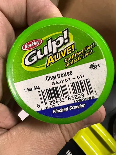 Berkley Gulp! Alive! 1" Pinched Crawler Chartreuse