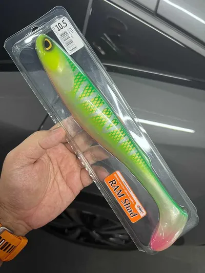 FishUp RAM Shad 10.5" - Silver Tiger