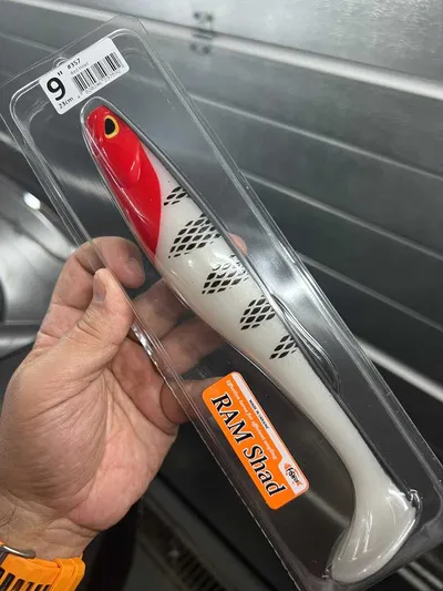 FishUp RAM Shad 9" - Fire Tiger