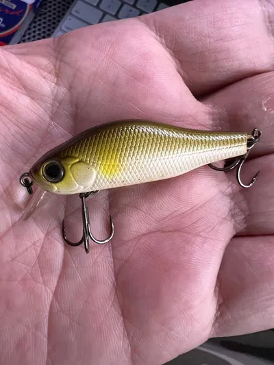 ZIPBAITS KHAMSIN JR. SP-SR