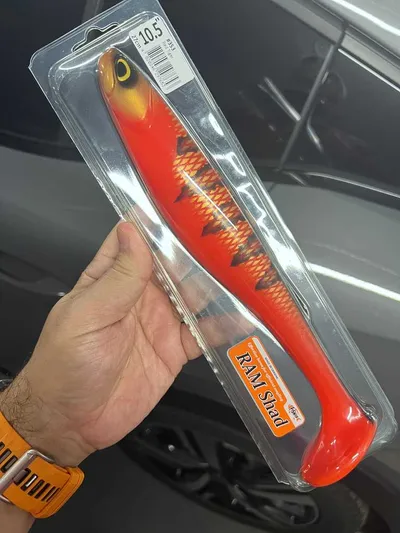 FishUp RAM Shad 10.5" - Red Tiger