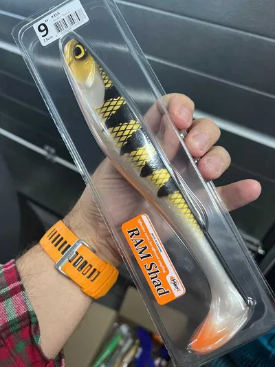 FishUp RAM Shad 9" - Golden Pearch