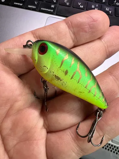 Tsuribito Crank 50FSR