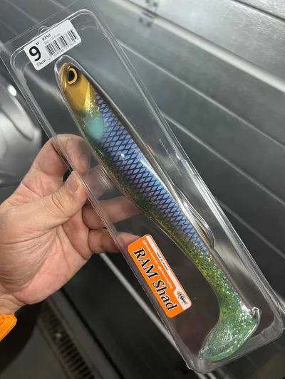 FishUp RAM Shad 9" - Baby Minnow