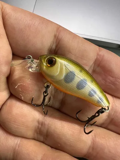 Tsuribito Baby Crank 35S-SR