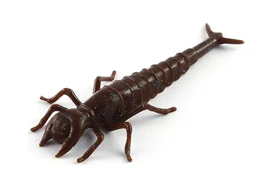 FishUp Diving Bug 2"