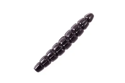 Morio 1.2"
