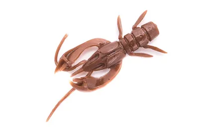 Real Craw 1.5"