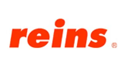 Reins