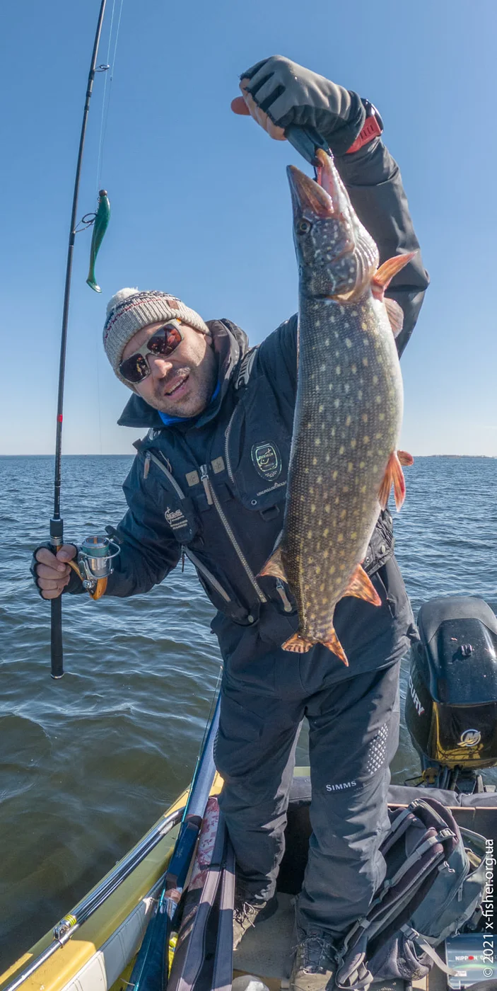 Щука, спіймана на великий FishUp Wizzle Shad під час човнової риболовлі