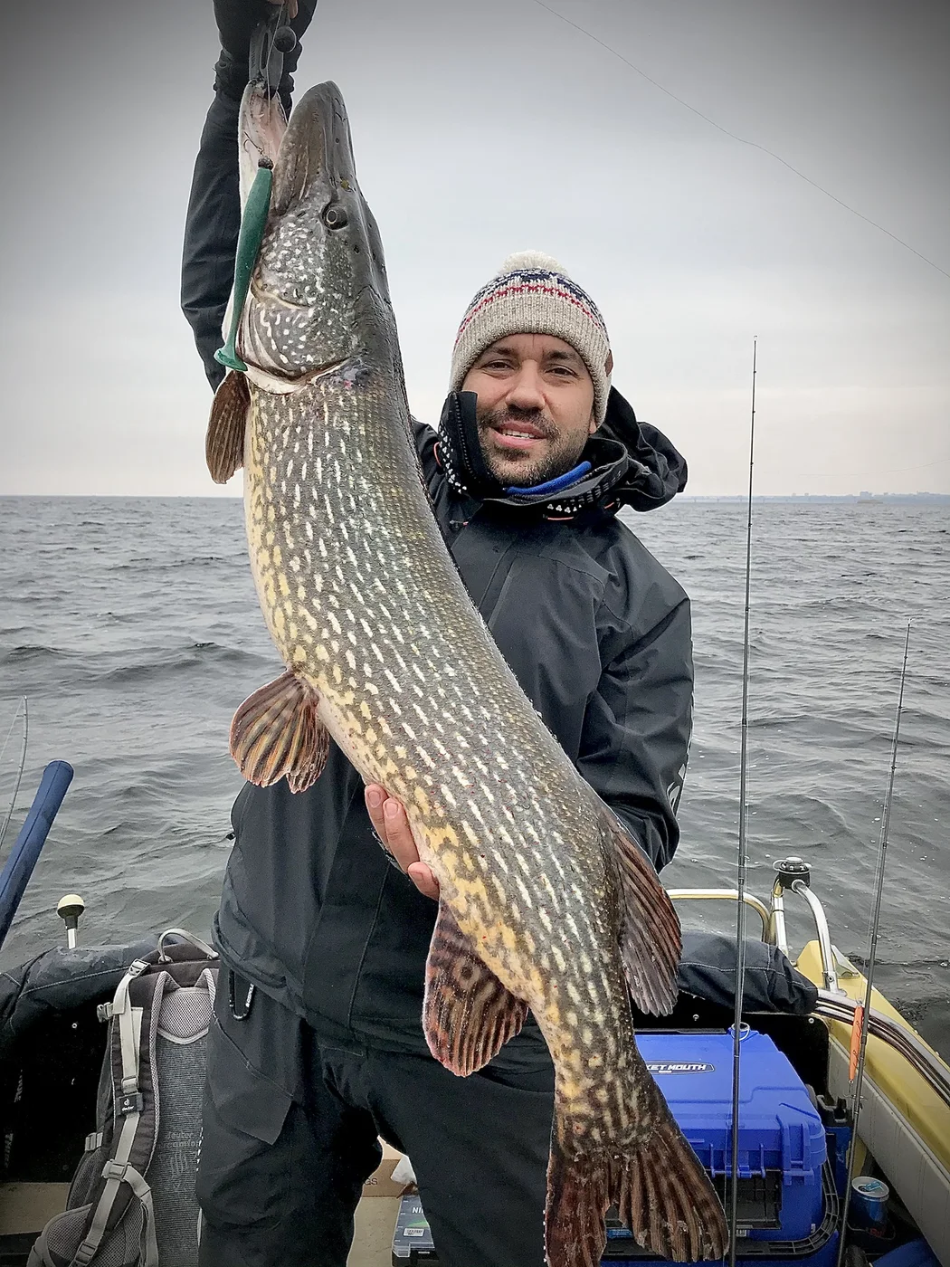 Велика щука після результативної проводки FishUp Wizzle Shad