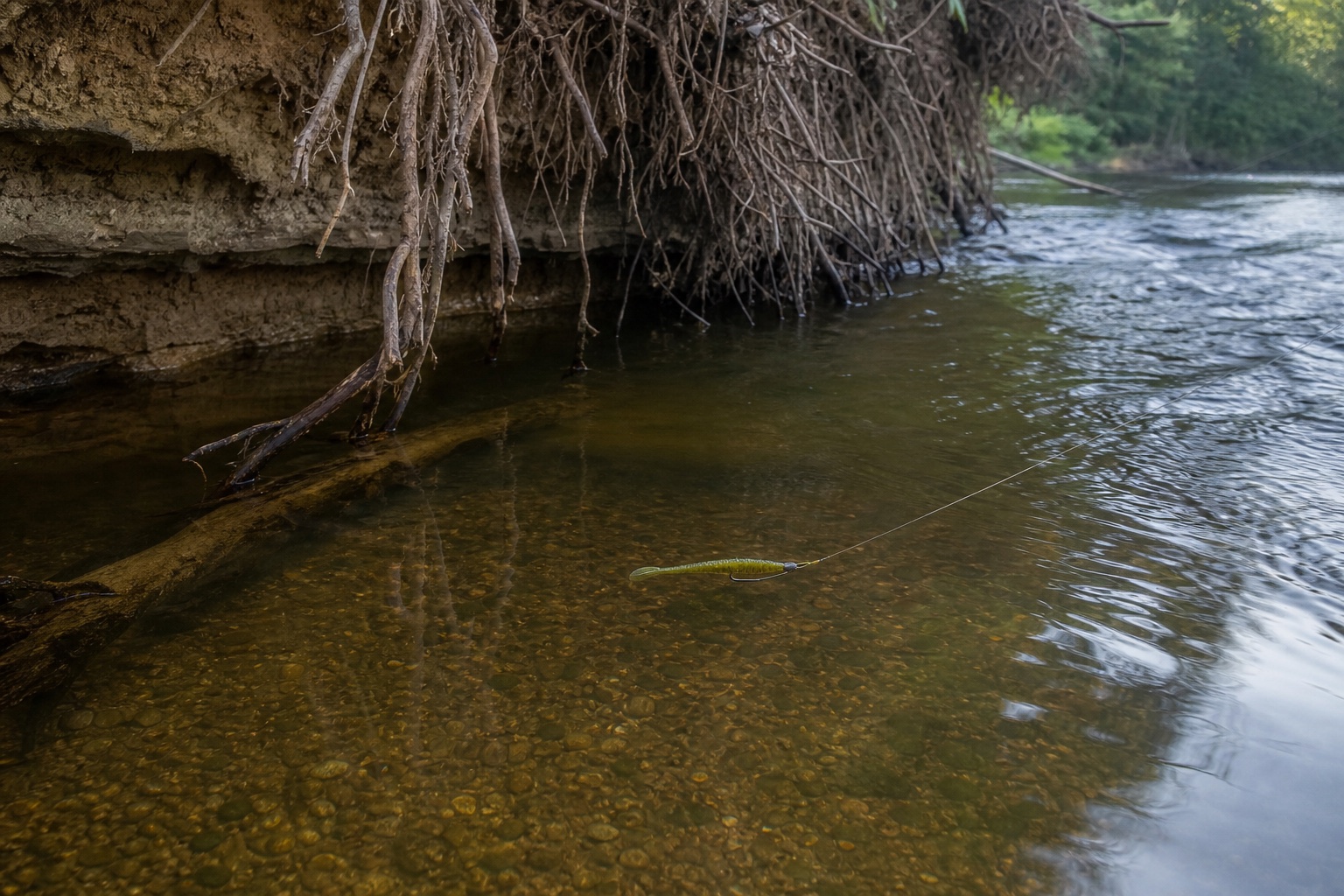 Кишеня тихої води, коріння й межа струменя біля підмитого берега