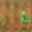 EA#02 Peach Green FLK